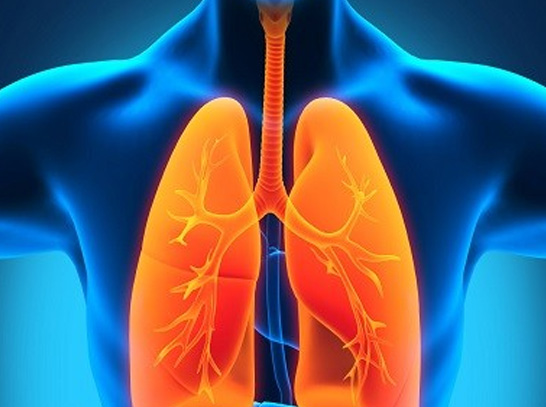 Pulmonary Tuberculosis